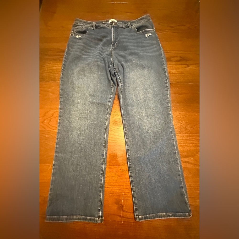 Pistola Women's Jeans 18W Medium Wash High Rise Straight Stretch Comfort